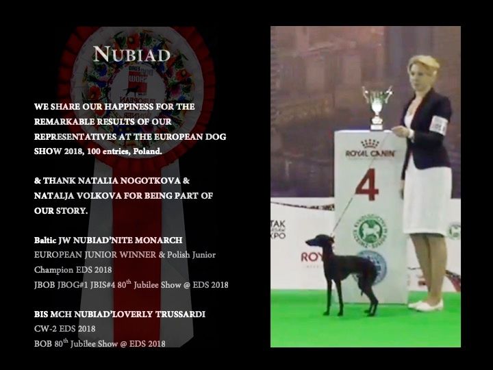 Nubiad Nil - European Dog Show 2018 Poland